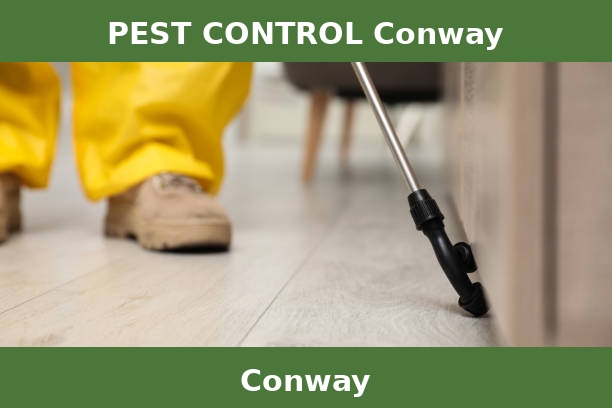 PEST CONTROL Conway